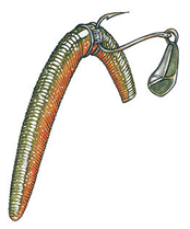 neko rig illustration