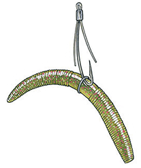 wacky rig illustration