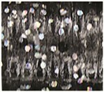 Smoke With Large Black And Small Hologram
