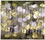 Clear With Gold, Silver And Black(905)