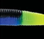 Black/Blue 317 Tail