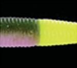 Rainbow Trout 317 Tail
