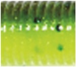 Chartreuse/Pumpkin