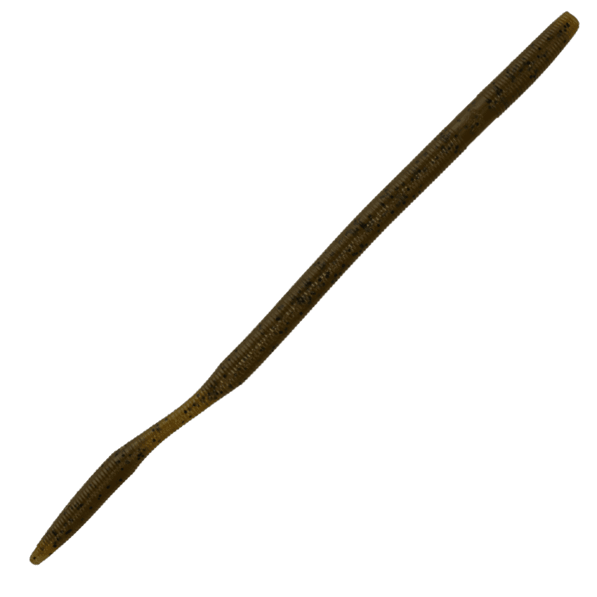Oki Worm